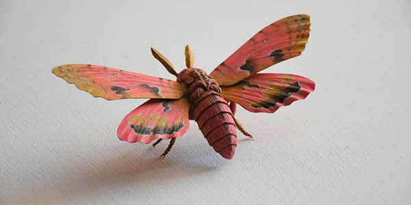 0122-fri-5-moth-300