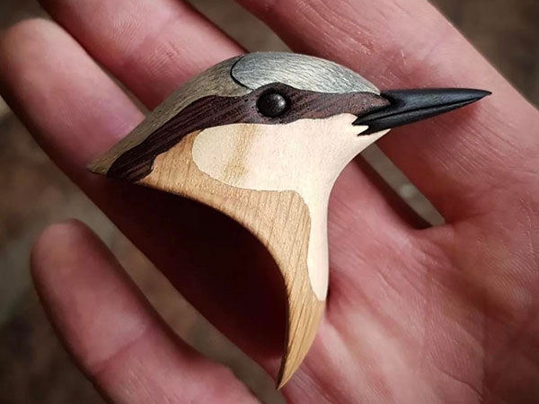 0222-fri-5-nuthatch-3-450