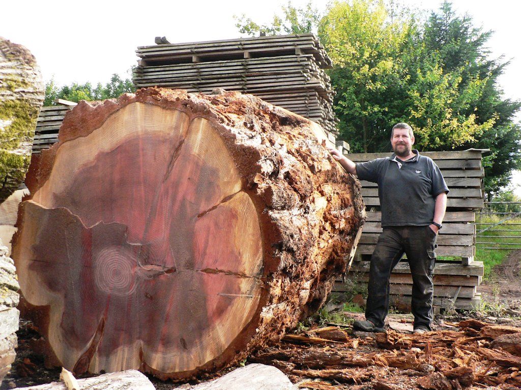 David Simmons of Interesting Timbers with a huge sequoia log prior to milling