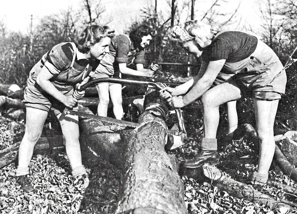  “I’m a lumberjill…”